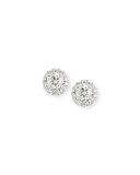 Diamond Halo Stud Earrings, 0.77 tdcw