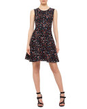 Boulder-Print Fit & Flare Dress, Multi