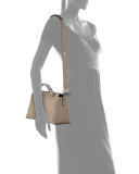 By the Way Small Leather & Snakeskin Satchel Bag, Light Gray