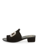 Strass-Buckle Suede Slide Sandal, Black