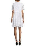 Short-Sleeve Lace Babydoll Dress