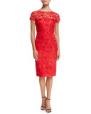 Short-Sleeve Lace Sheath Cocktail Dress