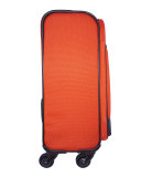 Pronto Mandarino 20" Spinner