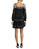 Cold-Shoulder Embroidered Ruffle Mini Dress, Black