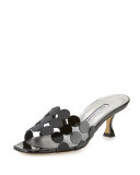 Velia Circle Slide Sandal, Black