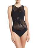 Rambling Rose Mesh One-Piece Swimsuit