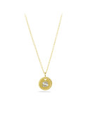 "S" Pendant with Diamonds in Gold on Chain