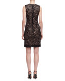 Lace Sleeveless V-Neck Dress, Black/Powder