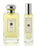 Amber & Lavender Cologne, 3.4 oz.