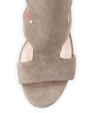 ilemi caged suede sandal