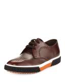 Wing-Tip Dress Sneaker, Brown