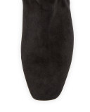 Evoke Suede Over-the-Knee Boot, Black