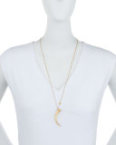 Classic Gold Wrapped Horn Necklace