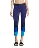 Spectrum Colorblock Sport Leggings, Cassis