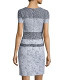 Short-Sleeve Striped-Tweed Sheath Dress, Black/White