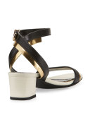 Mirror Cube-Heel 45mm Sandal, Black/Gold