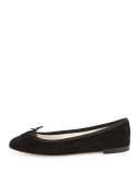 Suede Bow Ballerina Flat, Black