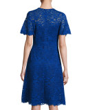 Short-Sleeve Lace A-Line Cocktail Dress, Royal