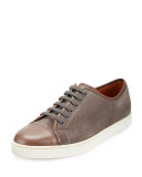 Levah Suede Low-Top Sneaker, Gray