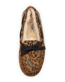 Dakota Leopard Bow-Tie Slipper