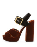 Velvet Platform Crisscross Sandal, Tobacco/Black (Tabacco+Nero)