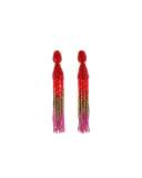 Ombre Crystal Tassel Earrings