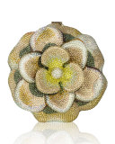 Magnolia Blossom Clutch Bag