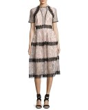 Iris Lace Paneled Midi Dress, Pink