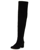 Elina Suede Over-the-Knee Boot, Black