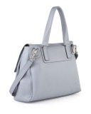 Pandora Medium Waxy Calf Bag, Gray