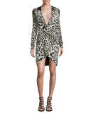 Leopard-Print Long-Sleeve Deep-V Dress, Leopard