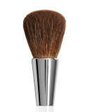 Mini Powder Brush