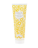 At Last Perfumed Shower Gel, 8.5 fl.oz.