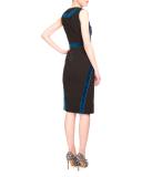 Allie Sleeveless Combo Sheath Dress, Black