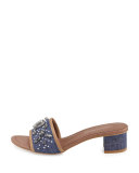 Maxx Jeweled Low-Heel Slide Sandal, Denim/Silver