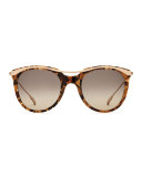 Elkins Rounded Square Polarized Sunglasses, Tortoise/Gold