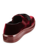 Bow Velvet Skate Sneaker, Maroon