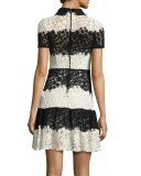 Short-Sleeve Striped Lace Dress, Avorio/Nero