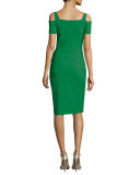 Custom Collection: Julia Cold-Shoulder Ruched Cocktail Sheath Dress 