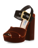 Velvet Platform Crisscross Sandal, Tobacco/Black (Tabacco+Nero)