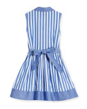 Sleeveless Striped Chambray Shirtdress, Size 2-7