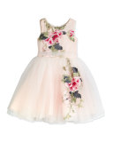 Sleeveless Embroidered Tulle Dress, Pink/Multicolor, Size 2-6