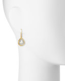Amorphous Diamond Slice Earrings in 24K Gold