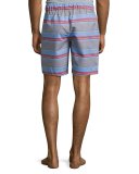 Evan Striped Drawstring Shorts, Multicolor