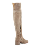 Ashby Suede Over-the-Knee Boot, Stone