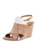 Jordy Colorblock Wedge Sandal, Beige