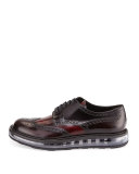Levitate Leather Wing-Tip Derby Shoe, Dark Red