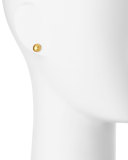 Small 24K Gold Amulet Earrings