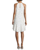 Kera Sleeveless Floral-Embroidered Dress, Ivory