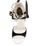 Crystal Lace-Up 105mm Sandal